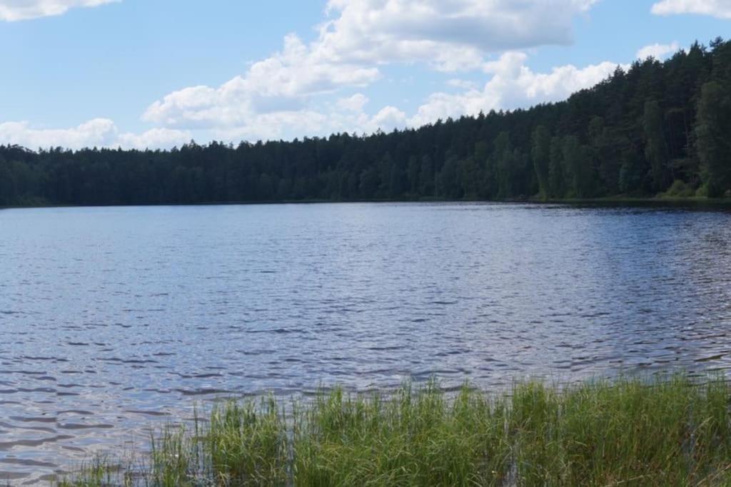 Domek Nad Jeziorem Kaszuby Max 6 Os Bieszkowice 외부 사진