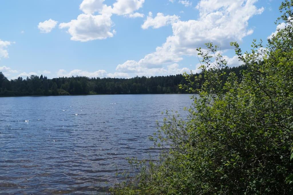 Domek Nad Jeziorem Kaszuby Max 6 Os Bieszkowice 외부 사진